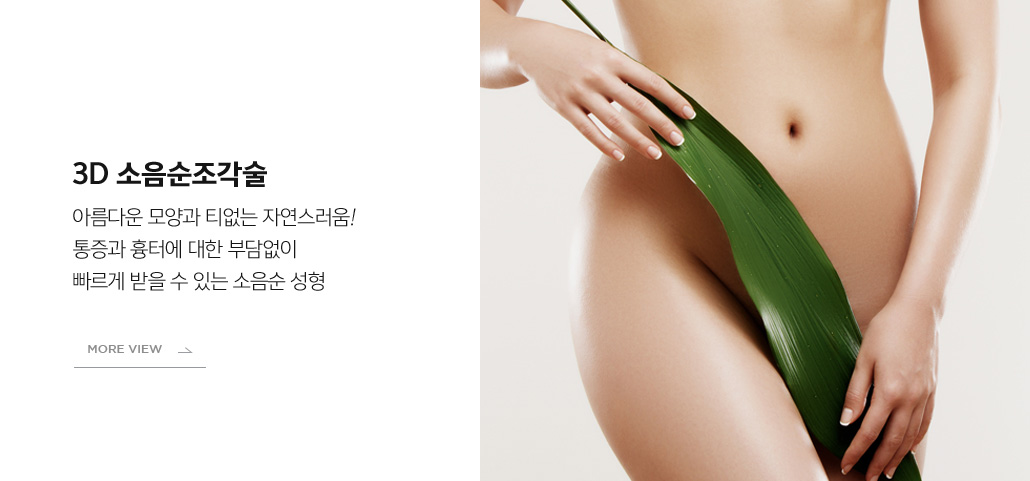 소음순조각술