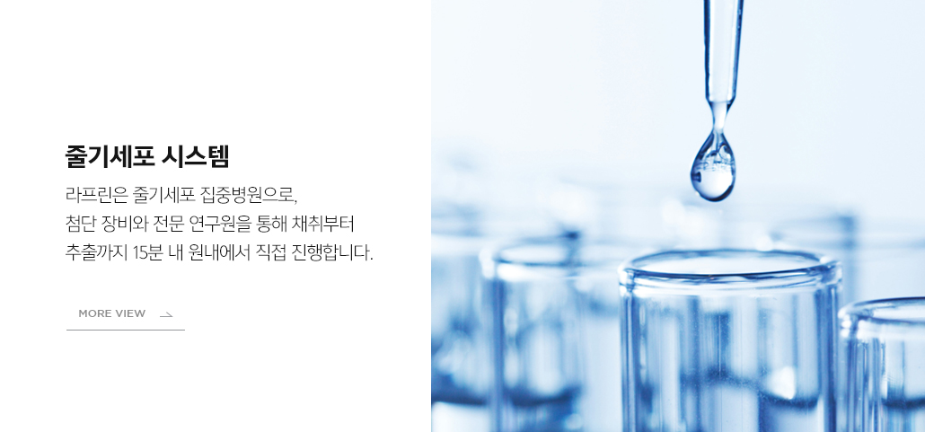 줄기세포시스템
